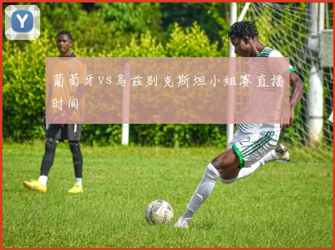 葡萄牙vs乌兹别克斯坦小组赛直播时间