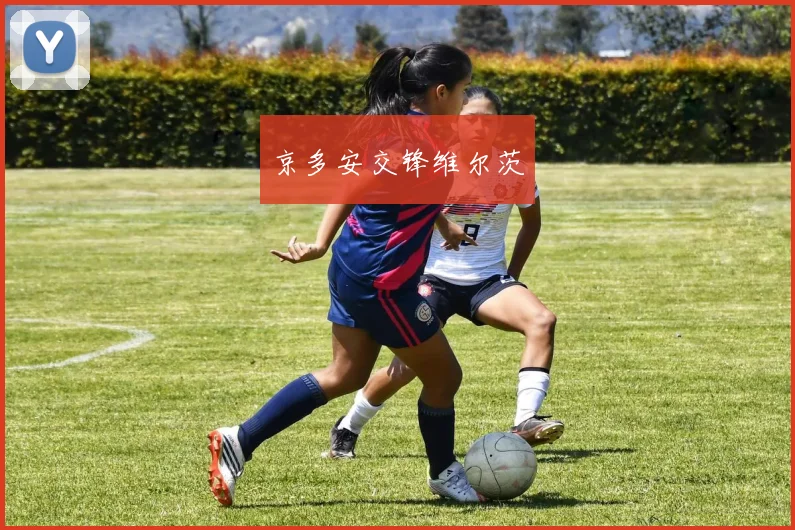 京多安交锋维尔茨