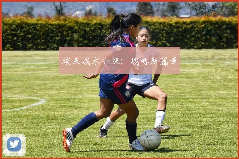 埃及战术升级：战略新篇章