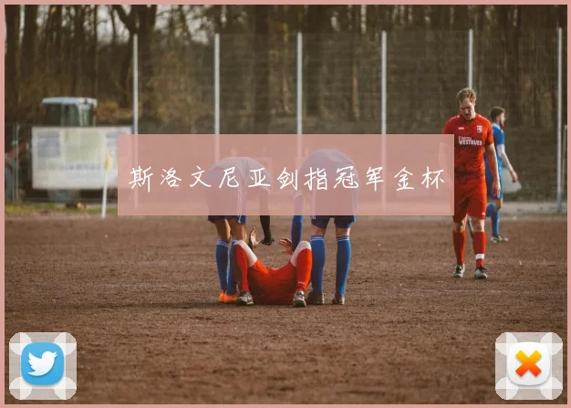 斯洛文尼亚剑指冠军金杯
