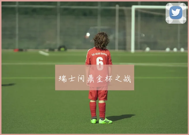 瑞士问鼎金杯之战