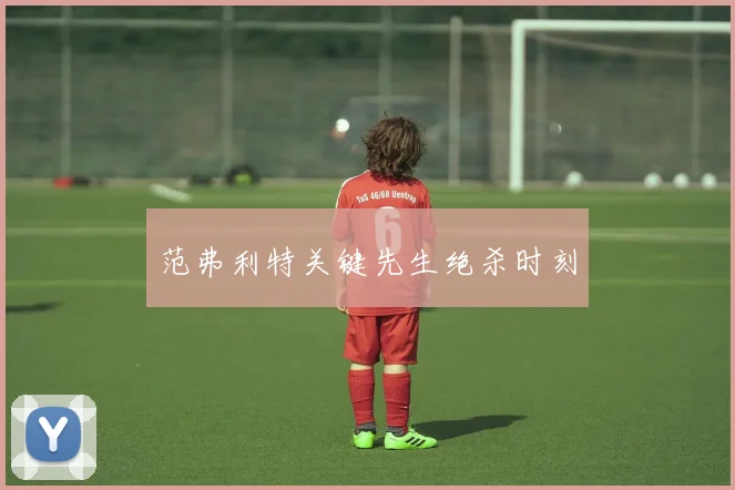 范弗利特关键先生绝杀时刻