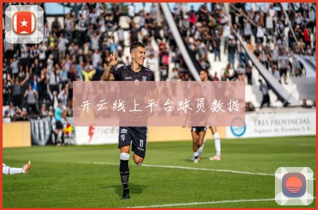 开云线上平台球员数据