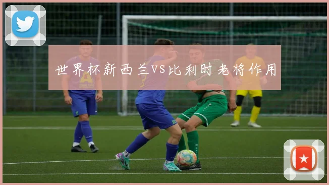 世界杯新西兰vs比利时老将作用