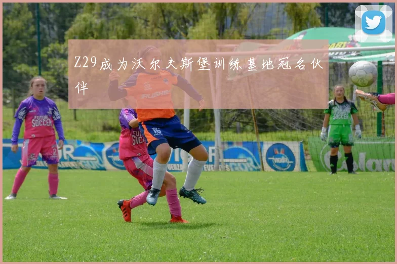 Z29成为沃尔夫斯堡训练基地冠名伙伴