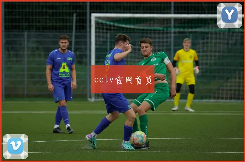 cctv官网首页