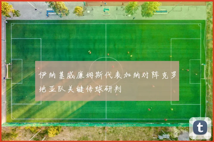 伊纳基威廉姆斯代表加纳对阵克罗地亚队关键传球研判