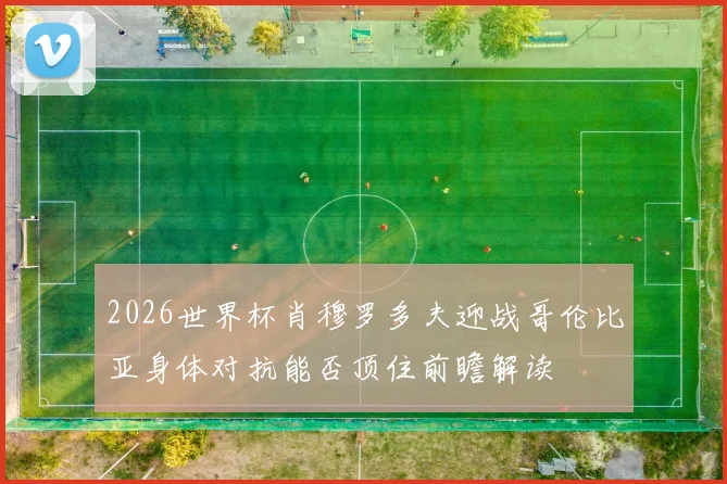 2026世界杯肖穆罗多夫迎战哥伦比亚身体对抗能否顶住前瞻解读