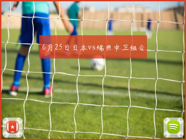 6月25日日本vs瑞典中卫组合